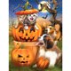 thumbnail image 1 of Pintura de diamante (DE4881) Halloween gato perro 5D DIY arte cuadrado bordado 20X30cm FLhrweasw Nuevo, 1 of 1