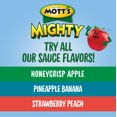 thumbnail image 6 of Mott's Mighty Honeycrisp Apple Applesauce, 3.2 oz, 48 Count Clear Pouches (4 Packs of 12), 6 of 14