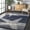 Starfish Blue, variant on Thomas Paul Starfish and Striped Area Rug, 2' 8" x 10', Runner, Starfish Grey