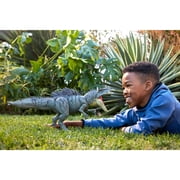 Jurassic World Colossal Chomp Giganotosaurus Figure with Big Bite, Multi Direction Attack