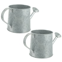 Vase Watering Flower Bucket Metal Can Jug Pitcher Rustic Farmhouse Pot Planter Iron Galvanized Vintage Tin Plant Vases