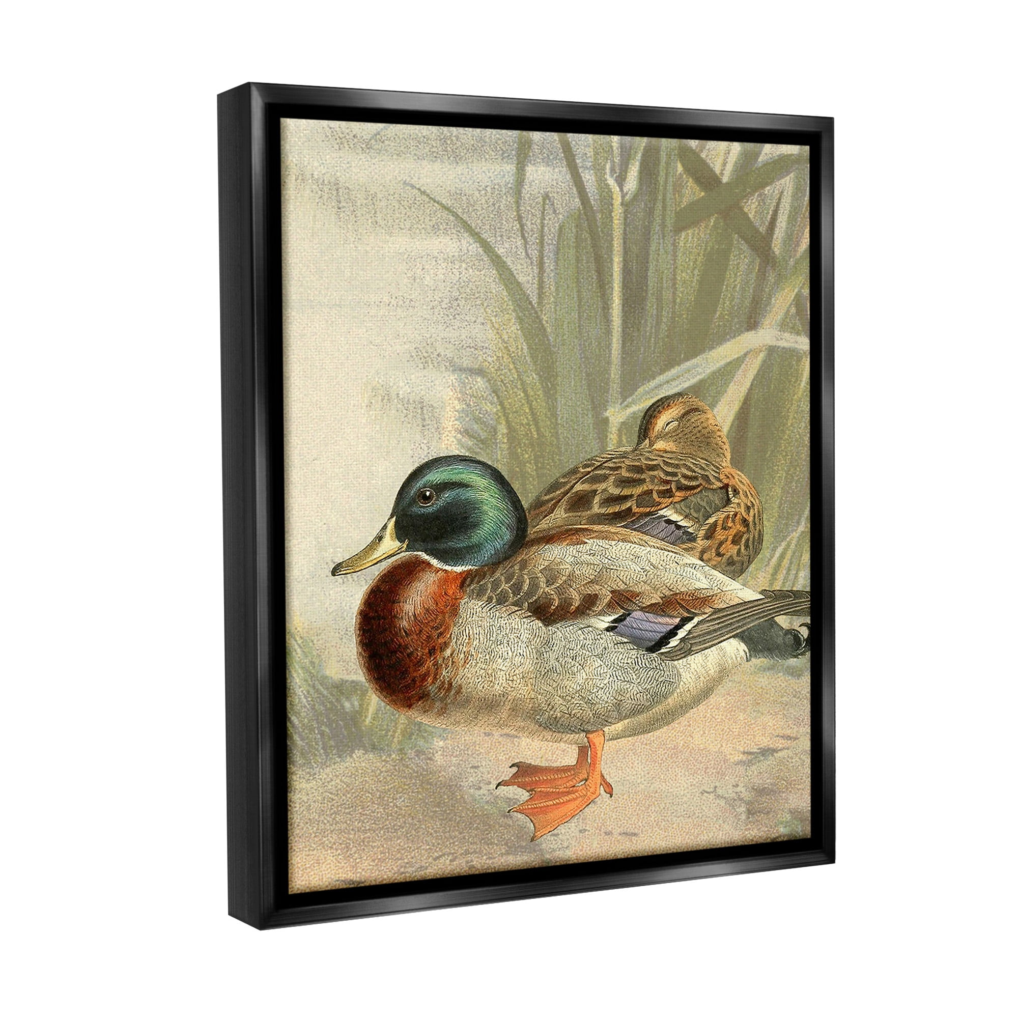 Stupell Industries Pond Ducks Relaxing Animals & Insects Painting Black Floater Framed Canvas Art Print Wall Art, 25 x 31