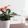 thumbnail image 4 of Starlight-watering Can Water Bottle Plastic Safety Squeeze Watering Bottle Squeeze Watering Bottle For Succulent Plants Bonsai Indoor Artificial Plant, 4 of 4