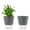 1Pcs 8.4inch, variant on Self Watering Planters, 2 Pack 6.7 Inch Self Watering Pots for Indoor Plants Wicking Pots, Modern Decorative Planter Pot for House Plants, Aloe,African Violets, Succulents (Grey)
