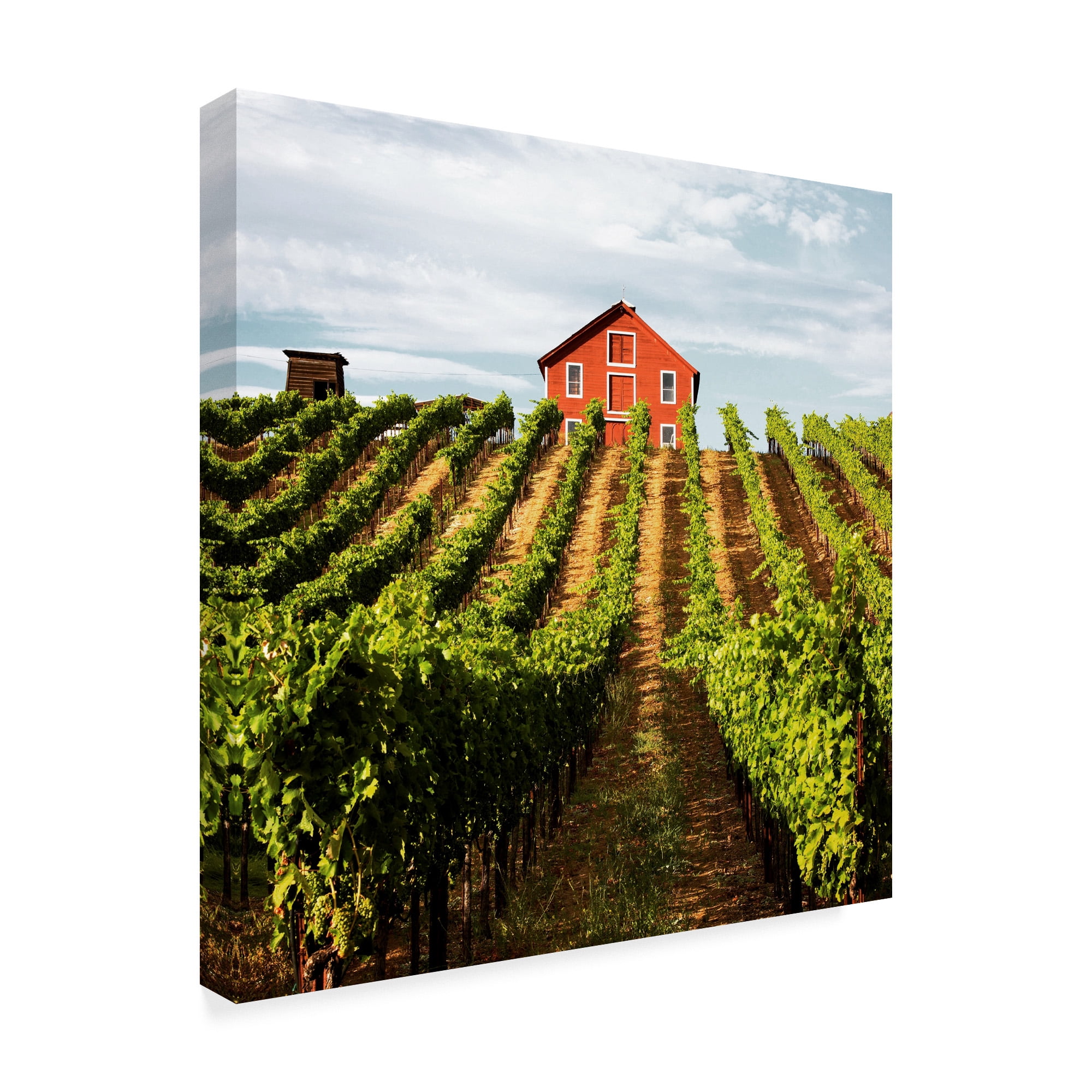 Trademark Fine Art 'Dry Creek Barn' Canvas Art by Lance Kuehne