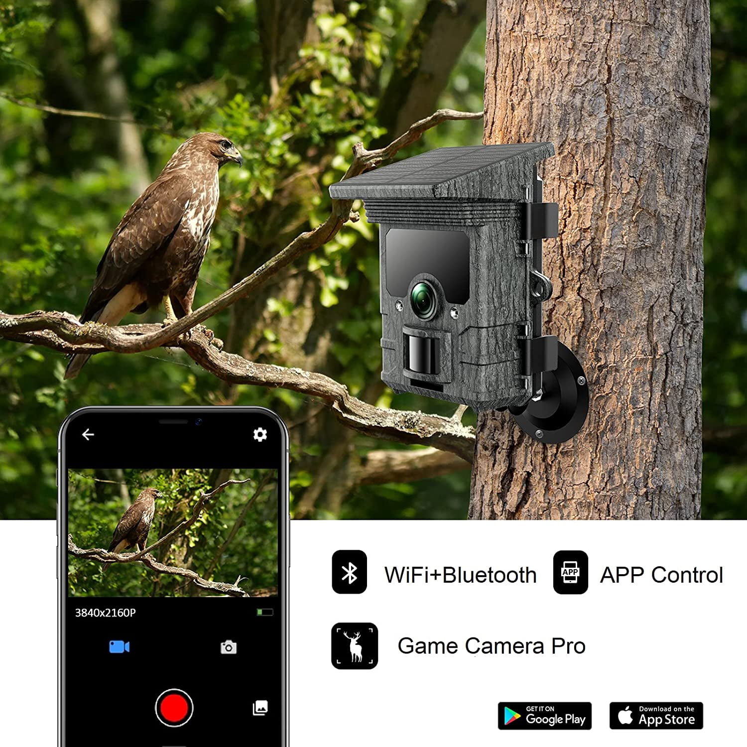 CAMPARK Solar Trail Camera WiFi Bluetooth Native 4K 30fps 46MP Game Camera with 4400mAh Night Vision Fast 0.1s Trigger Motion Activated IP66 Waterproof Hunting Trail Cam for Wildlife Monitoring