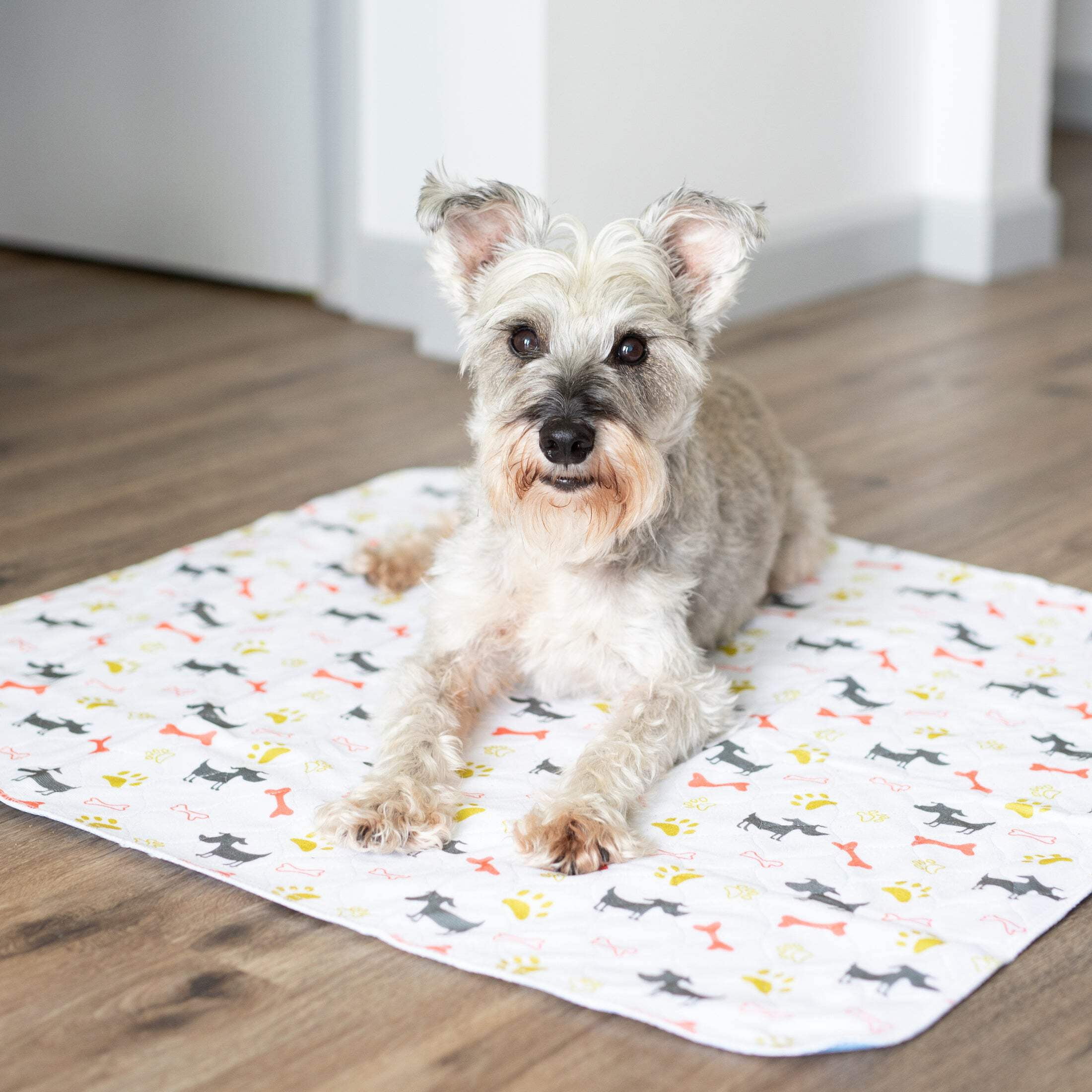 Premium Washable Reusable Pet Pee Pads | Large House Training Mats 28 inches x 31 inches