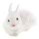 thumbnail image 2 of Decoración Realista Muñeca del Conejo Animal Figurita Hogar Oficina Niños # 2 Sunnimix Muñeca de conejo, 2 of 8
