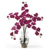 Nearly Natural Phalaenopsis Liquid Illusion Silk Flower Arrangement, Beauty
