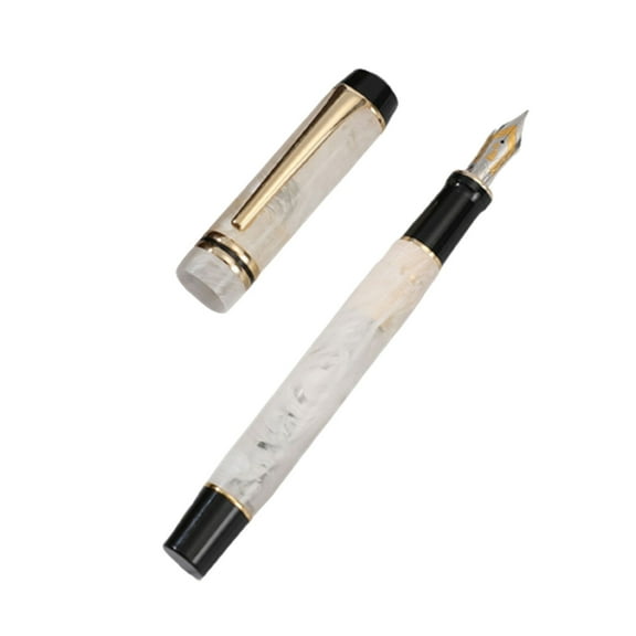 ROZYARD Disposable Fountain Pens, Ink Fine Point Pens Smooth Writing Calligraphy Pens