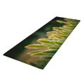 thumbnail image 4 of Alfombrillas para Puertas Interiores con Estampado de Hierba Alfombrilla para Rascador de para Dormitorio Fácil de Los 40x120cm Macarena Alfombra de piso Alfombra Runner, 4 of 7