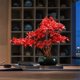 thumbnail image 5 of Bonsái de arce rojo artificial con macetas, ideal for decoración de hoteles, paisajismo y escritorios., 5 of 6