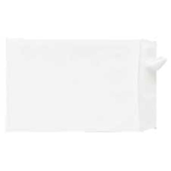 Products  Tyvek Open-End Envelope- Plain- 10in.x13in.x1-.50in.- 100-CT- White