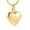 Gold, variant on Pet Cremation Jewelry for Ashes Pendant Paw Print Pet Heart Urn Necklace Memorial Keepsake Jewelry for Pet/Dog's/Cat's Ashes
