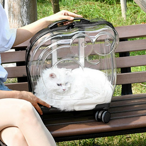 Cat carrying case clearance walmart