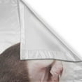 thumbnail image 3 of Ambesonne Chihuahua Kitchen Curtains, Ears Innocent Eyes, 55"x45", Pale Eggshell and Taupe, 3 of 3