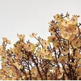 thumbnail image 5 of Babys Breath Artificial Flowers 10 Bulk Faux Silk Flower DIY Bouquet Fake Floral for Home Office Kitchen Wedding Restaurant Centerpieces Christmas Party Decor, 5 of 5