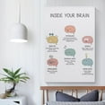 thumbnail image 5 of Brain Functions, The Human Brain Poster, Brain Model, Therapy Office Decor, Brain Anatomy For Home School Office Decor, 5 of 7