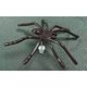thumbnail image 5 of Los aretes, aretes de Navidad para mujeres, decoraciones de Navidad interesantes, suministros para fiestas de disfraces, aretes de araña únicos, 5 of 7