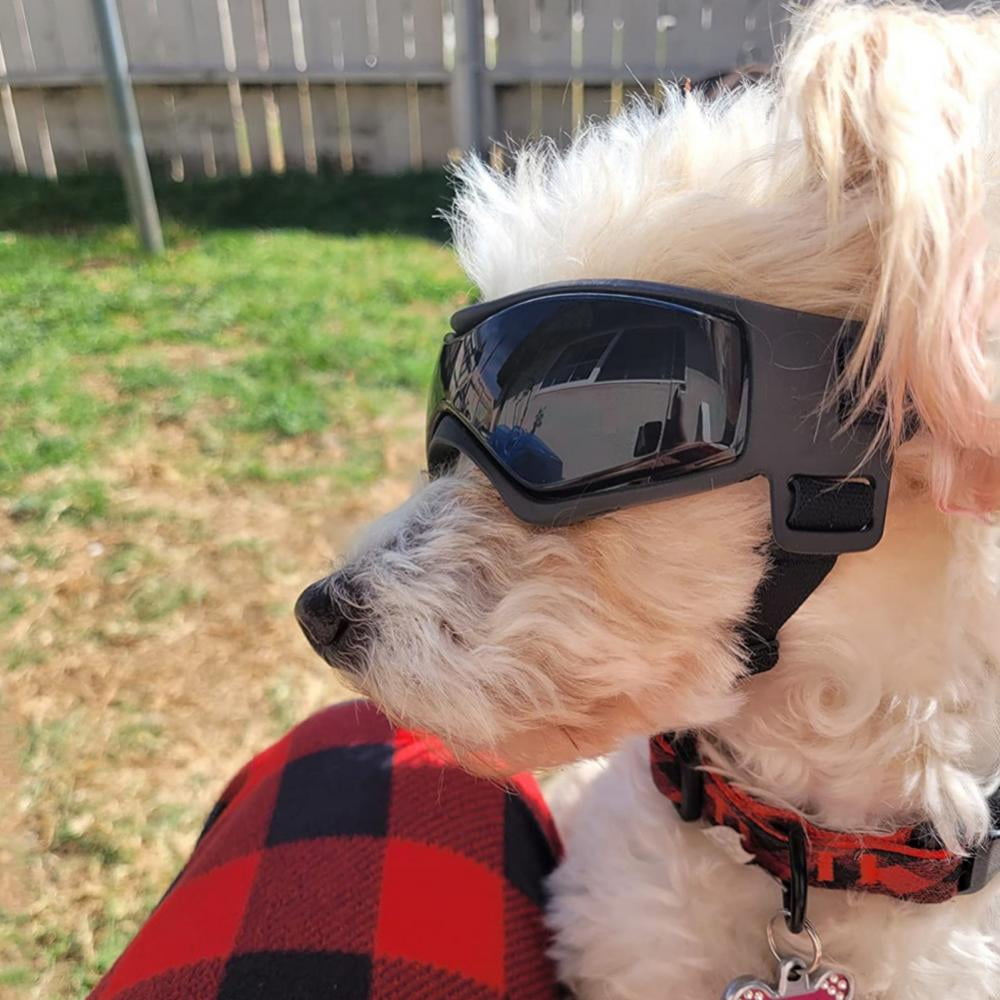 Pug goggles sale