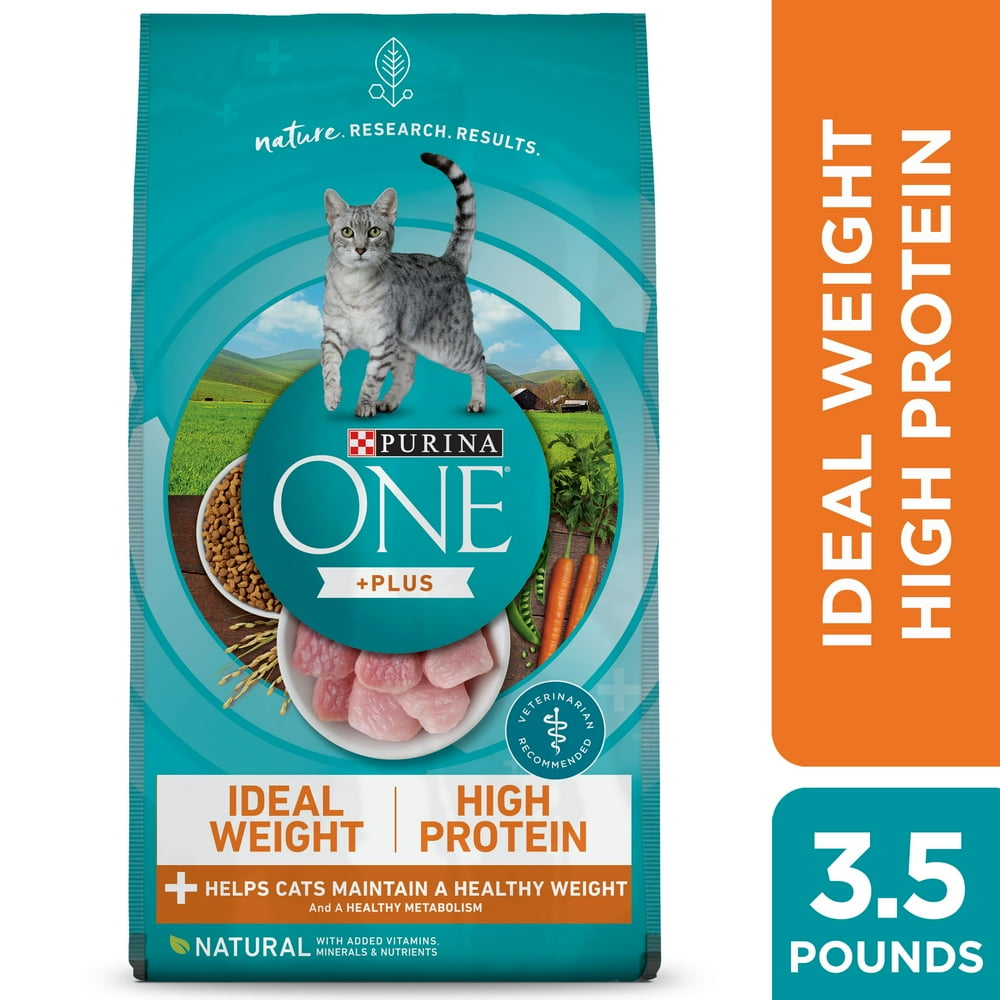 cat-snacks-healthy-cat-treats-best-cat-treats