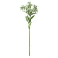 thumbnail image 2 of Danhjin Plas Tic Simulation Greenery Plastic Simulation Tree Leaves Simulation White Edge Leaves Mint Leaves Simulation Leaves Simulation Flowers Fake Flowers Greeneries Decoration, 2 of 7