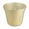 thumbnail image 2 of 4" Slotted Clear Orchid Pots - 3 Pack (Golden Creme), 2 of 4