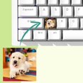 thumbnail image 1 of Custom Keycap Set - Personalized Photo Keycap, Custom Photo Keycaps, Personalized with Photos for Mechanical Keyboards with Cross Cores, 1 of 8
