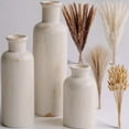 thumbnail image 4 of Pampas Grass with Vase Set – 3 Beige White Ceramic Vases with Natural Dried Pampas, Bunny Tails & More – Neutral Farmhouse Decor for Fireplace, Home, Mantel, Entryway, 4 of 8