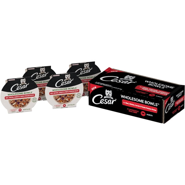 CESAR WHOLESOME BOWLS Adult Soft Wet Dog Food Beef, Chicken, Purple