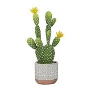 Mainstays 15.4" Artificial Cactus Succulent Plant in Cement Pot, Multicolor