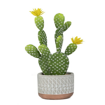 Mainstays 15.4" Artificial Cactus Succulent  in Cement Pot, Multicolor