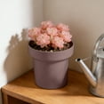 thumbnail image 6 of Mecorevxz Succulents Plants Pot Simples Indoor Mini Plastic Flower Pot Creatives Desktop Succulents Planter(Coffee), 6 of 7