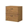 thumbnail image 1 of Ironworks 2 Drawer Lateral File Cabinet in Vintage Golden Pine - Engineered Wood, 1 of 7