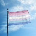 thumbnail image 2 of 3x5 Ft Bigender Pride Flag Bi Gender LGBT Gray Transgender LGBTQ Rainbow Flags, 2 of 5