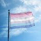 thumbnail image 2 of 3x5 Ft Bigender Pride Flag Bi Gender LGBT Gray Transgender LGBTQ Rainbow Flags, 2 of 5