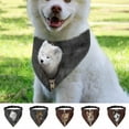 berry Style Dog Dog Chain with Name Pet Supplies Multi Size Zipper Dog