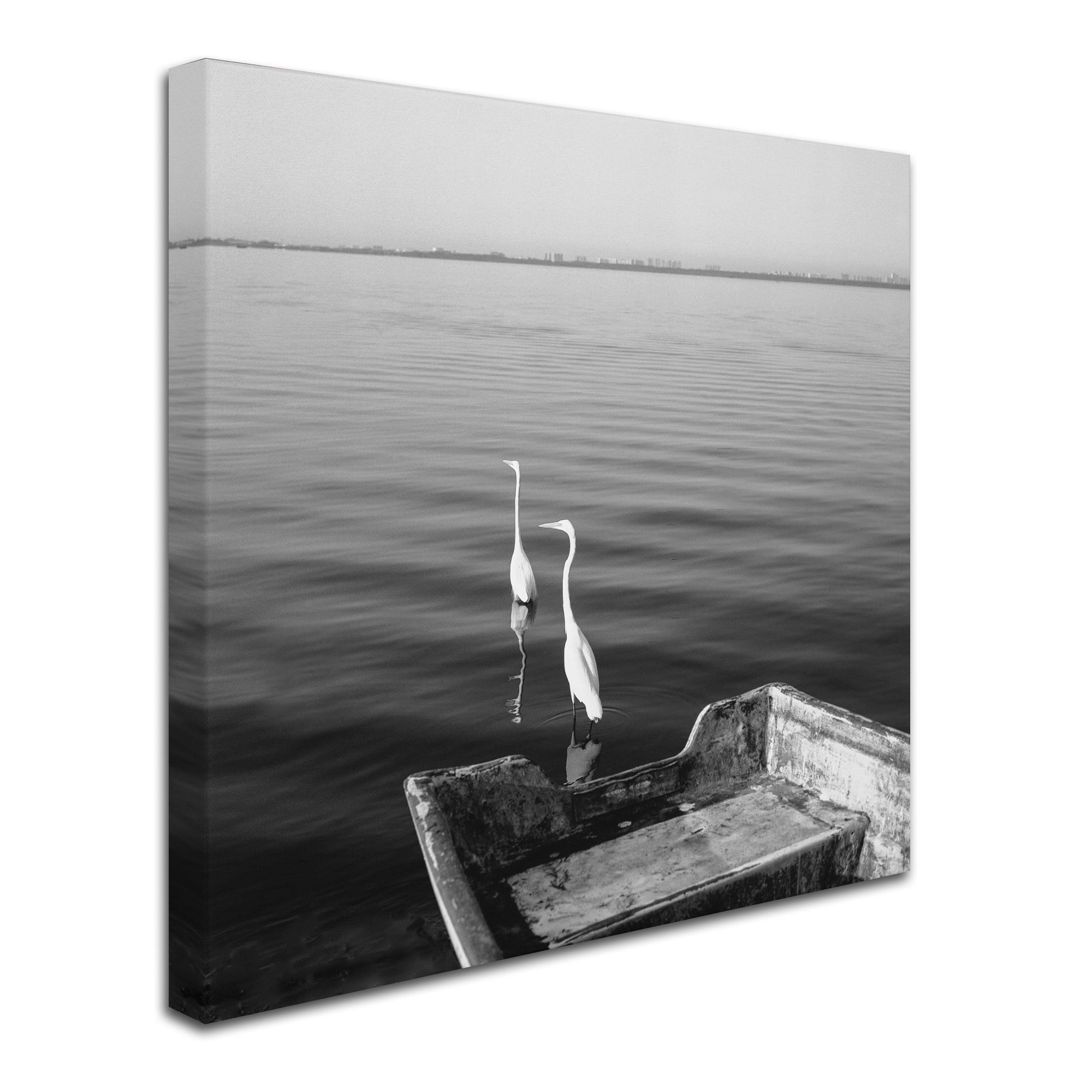 Moises Levy '2 Herons Leaving' Canvas Art