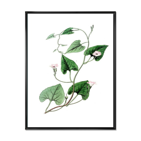 Designart 'Ancient Green Leaves Plants IX' Traditional Framed Canvas Wall Art Print
