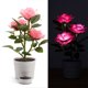thumbnail image 3 of Naiovety Luz LED solar Bonsai único Lámpara de maceta Planta en maceta Luces de rosas Jardín Lámparas de noche Césped Dormitorio Hogar Decoración del hogar Amarillo, 3 of 6