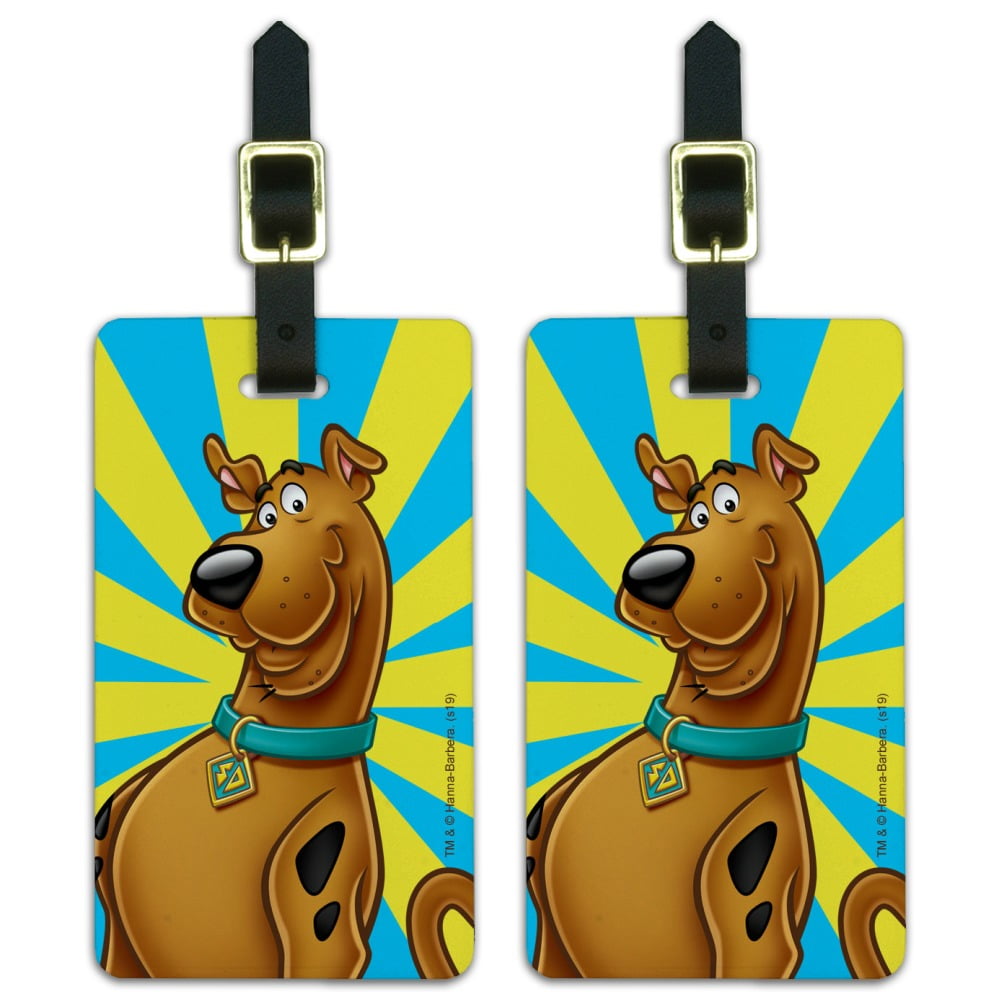 ScoobyDoo Character Luggage ID Tags Suitcase CarryOn Cards Set of 2