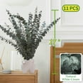 thumbnail image 2 of Eucalipto seco ramas decoración baño eucalipto seco colgante eucalipto seco hogar, 2 of 7
