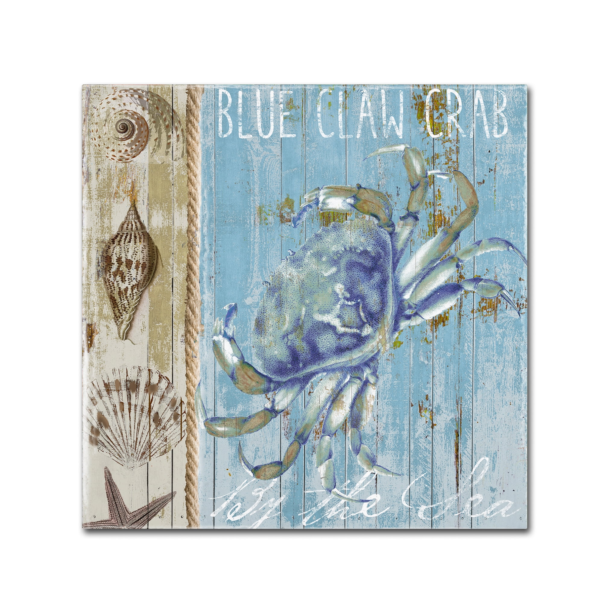 Trademark Fine Art "Blue Crab I" Canvas Art by Color Bakery