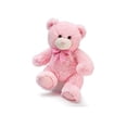 thumbnail image 1 of Burton y Burton Peluche Rosa Oso, 16 pulgadas Burton y Burton Burton y Burton, 1 of 1