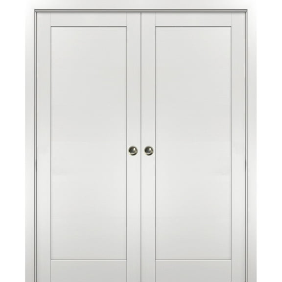 Modern Double Pocket Doors 72 x 80 with Frames