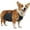 Gray, variant on UOSIA Waterproof Corgi Raincoat - Anti-Dirty Dog Belly Vest & Chest Protector,