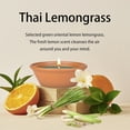 thumbnail image 3 of Aottom Citronella Jar Candles Outdoor Burn for 150h Summer Garden Yard 2 Pack Soy Wax, 3 of 7