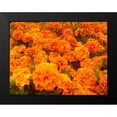thumbnail image 2 of Grayscale 14x12 Black Modern Framed Museum Art Print Titled - Chrysanthemums I, 2 of 5