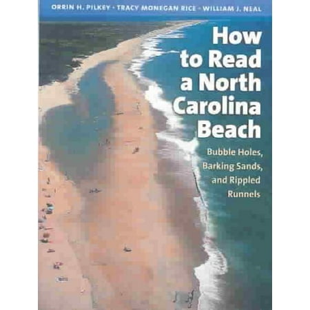 How To Read A North Carolina Beach Bubble Holes Barking