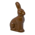 thumbnail image 1 of Plastic Figural Chocolate Bunny Treat Container, 1 of 5